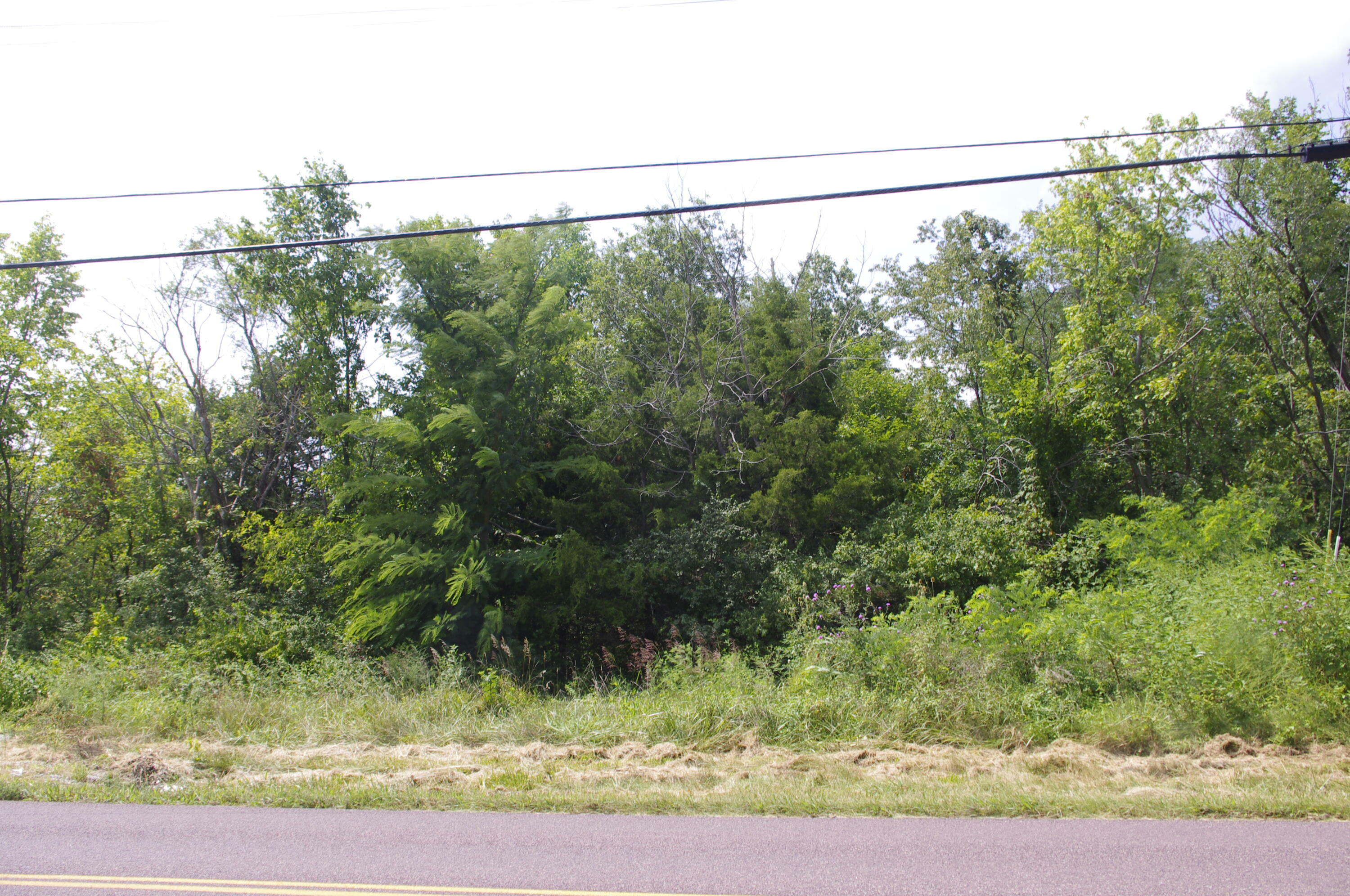 Property Photo:  N Wagon Trail Rd  MO 65202 