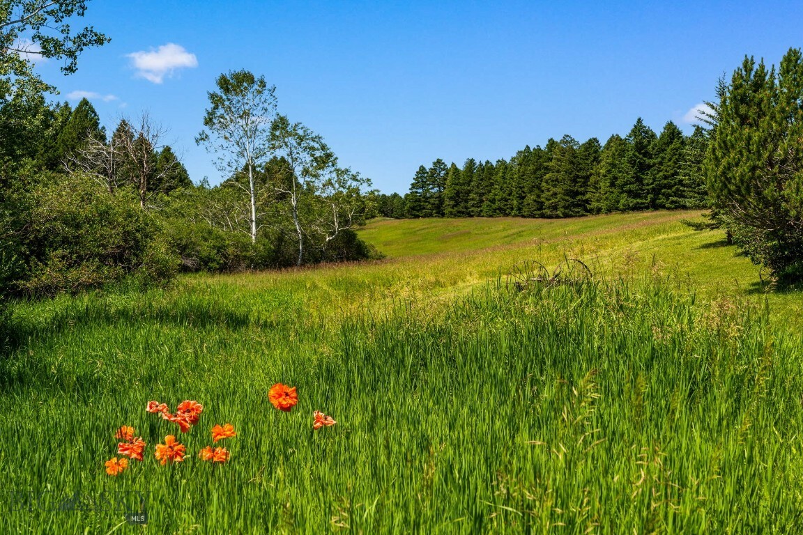 Property Photo:  4861 Jackson Creek Road  MT 59715 