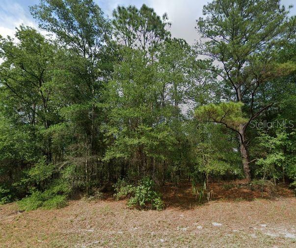 Property Photo:  10969 N Adler Drive  FL 34434 