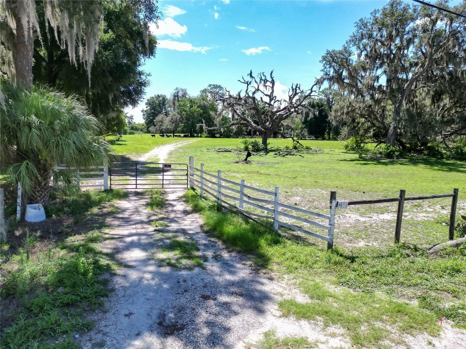 8315 Tom Costine Road  Lakeland FL 33809 photo