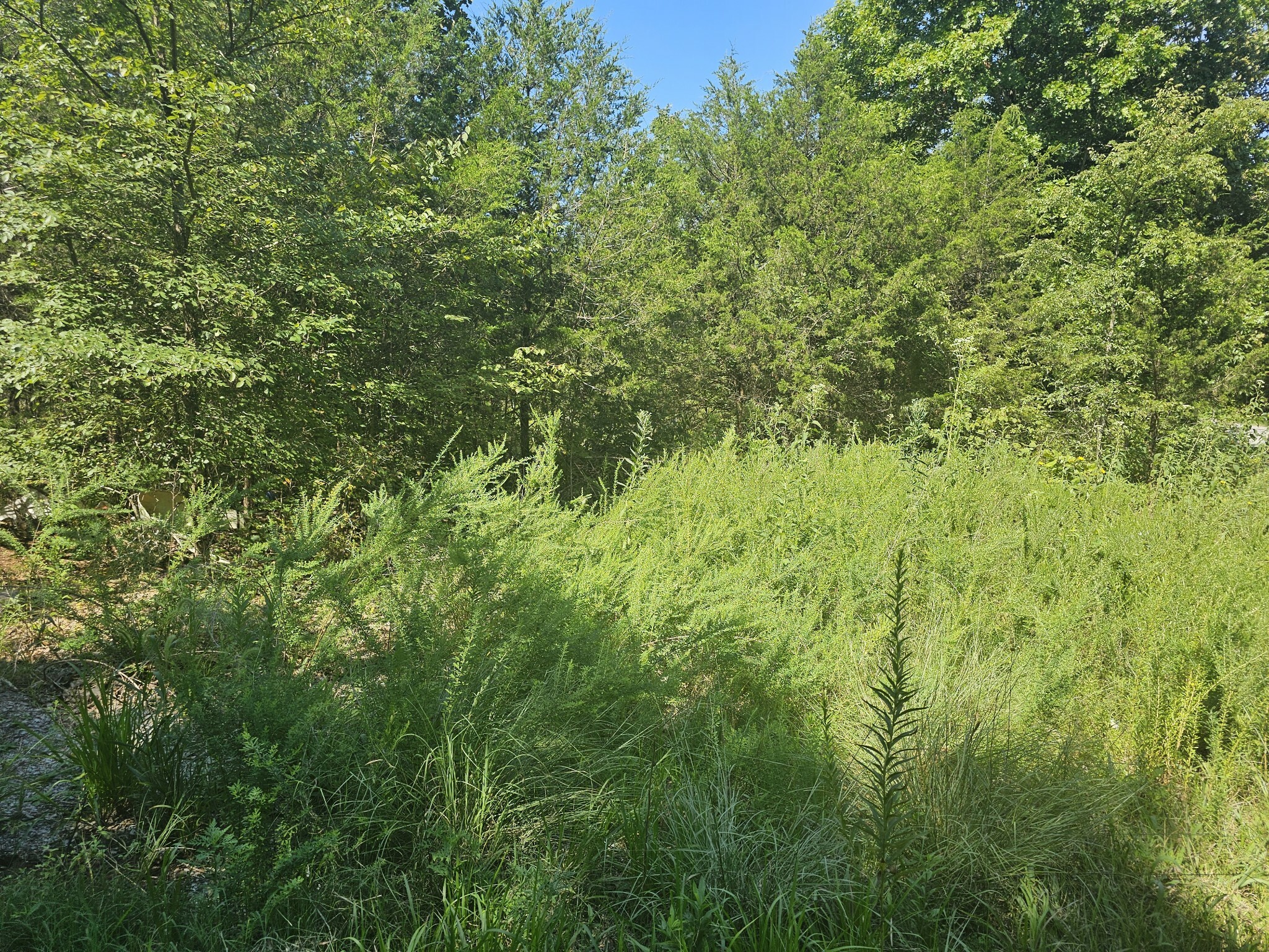 Property Photo:  0 Underwood Rd  TN 37122 