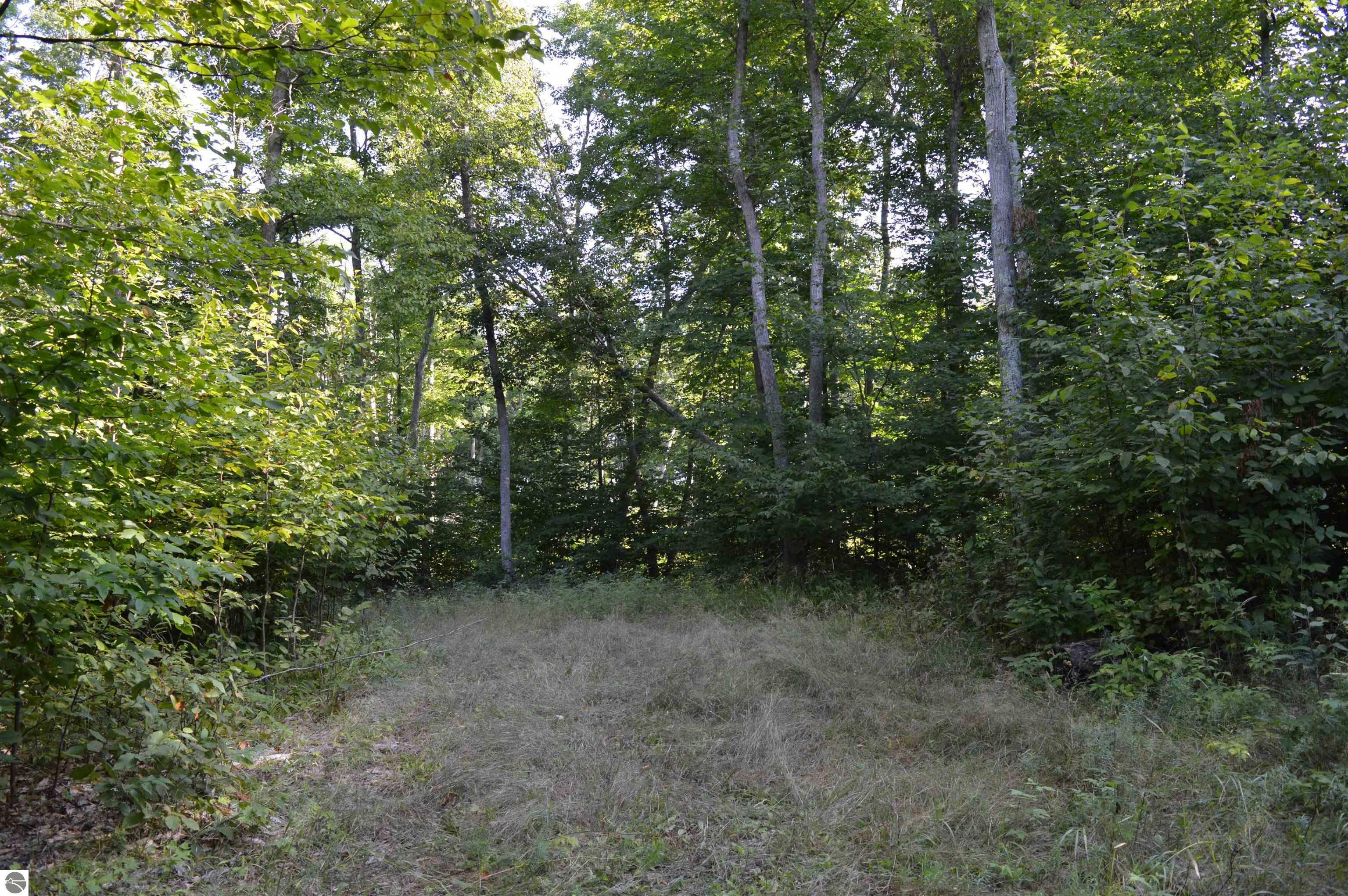 Property Photo:  W Leonard Road  MI 49659 