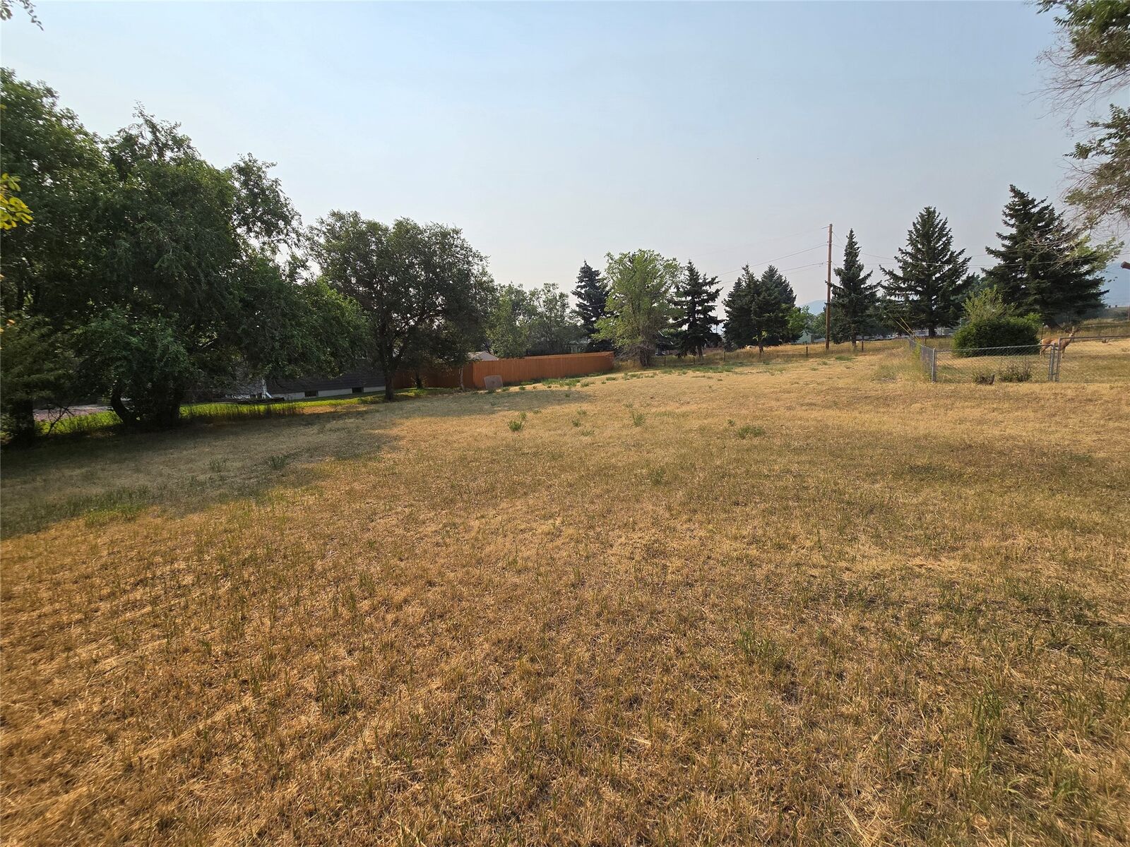 Property Photo: Tbd Poplar Street MT 59601