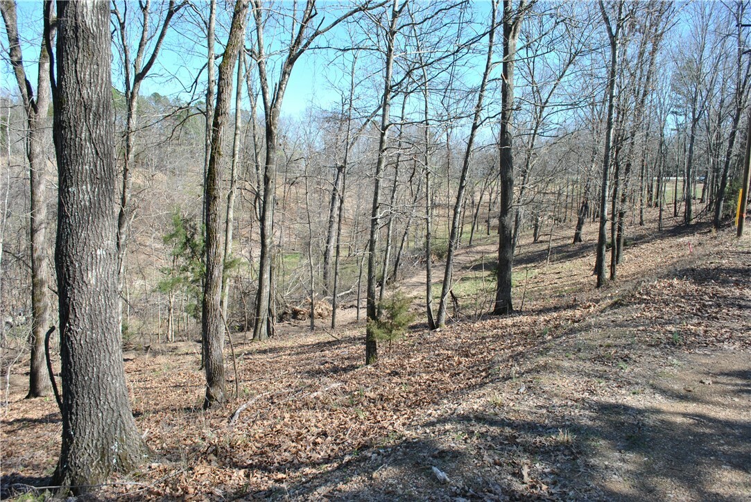 Property Photo:  Lot 104 E Robin Road  AR 72756 