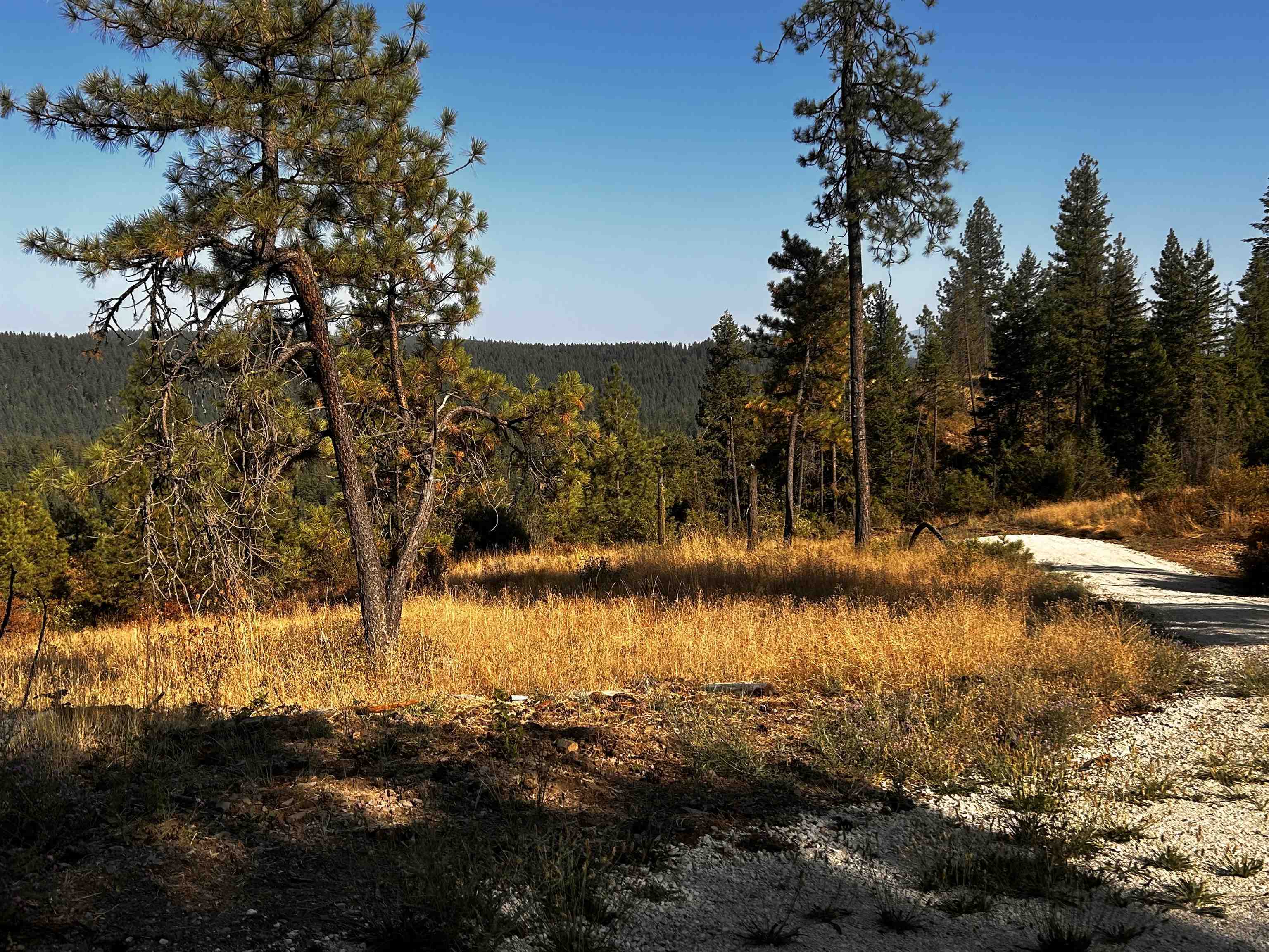 Property Photo:  000 Horseshoe Lake Rd  WA 99006 