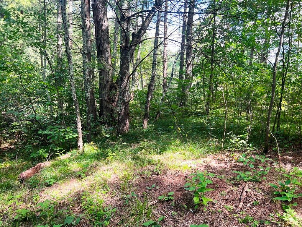 Property Photo:  Lot 10 Pine River Rd  WI 54452 