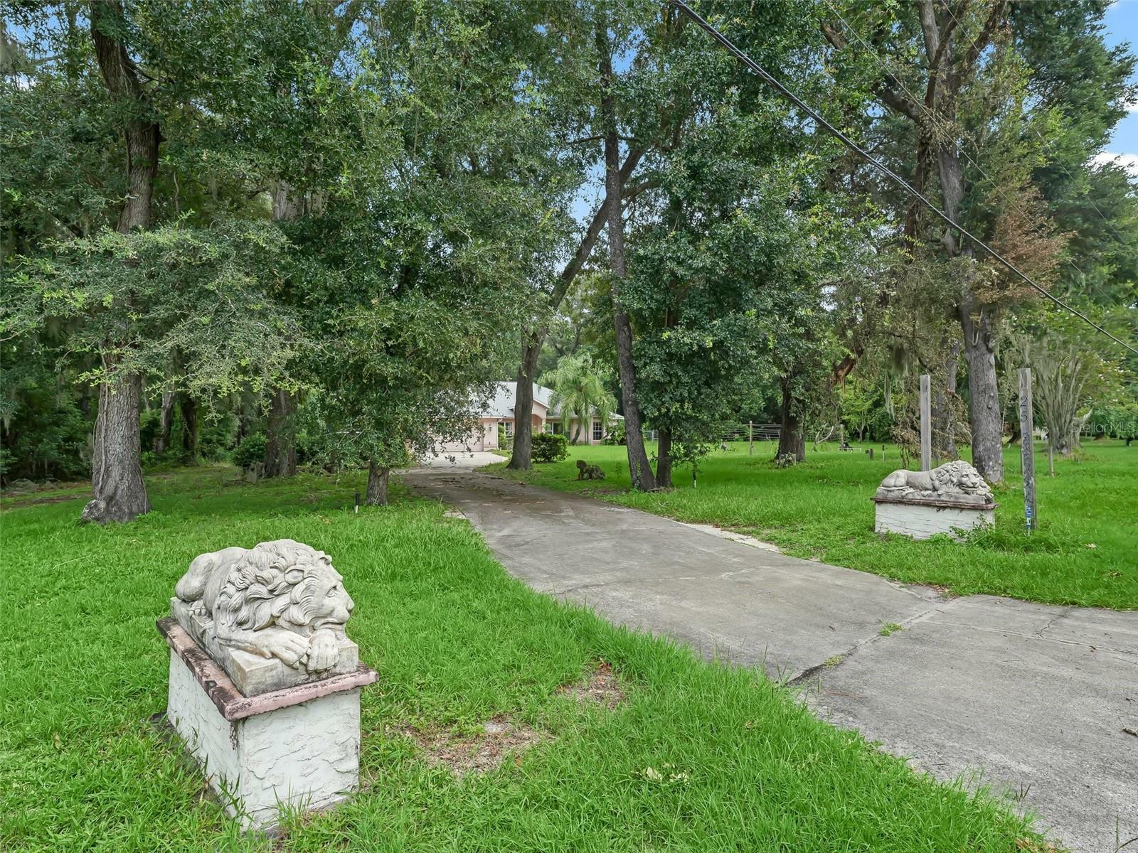 Property Photo:  2541 Lake Griffin Road  FL 32159 