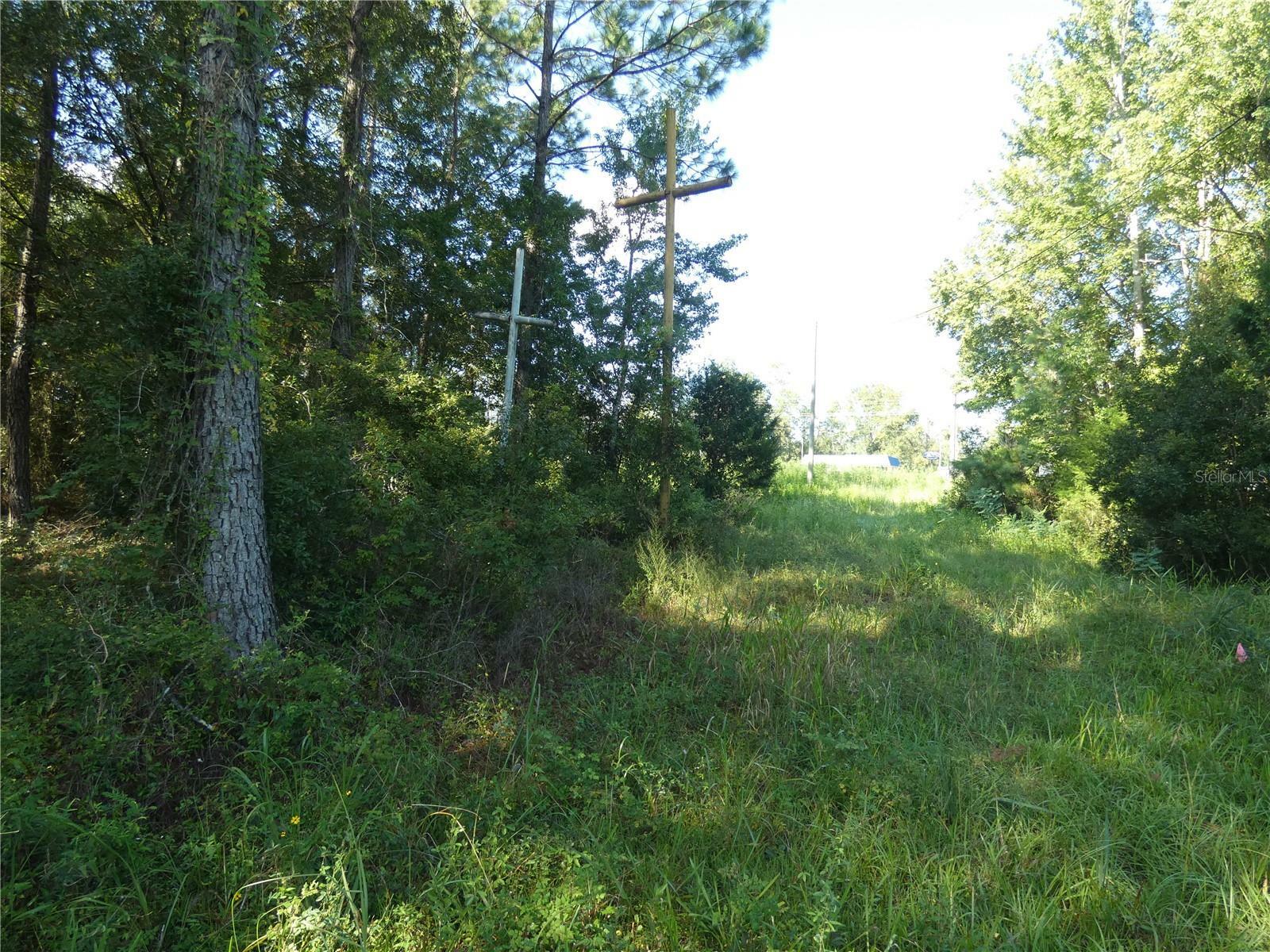 Property Photo:  00 SE Hwy 19  FL 32683 