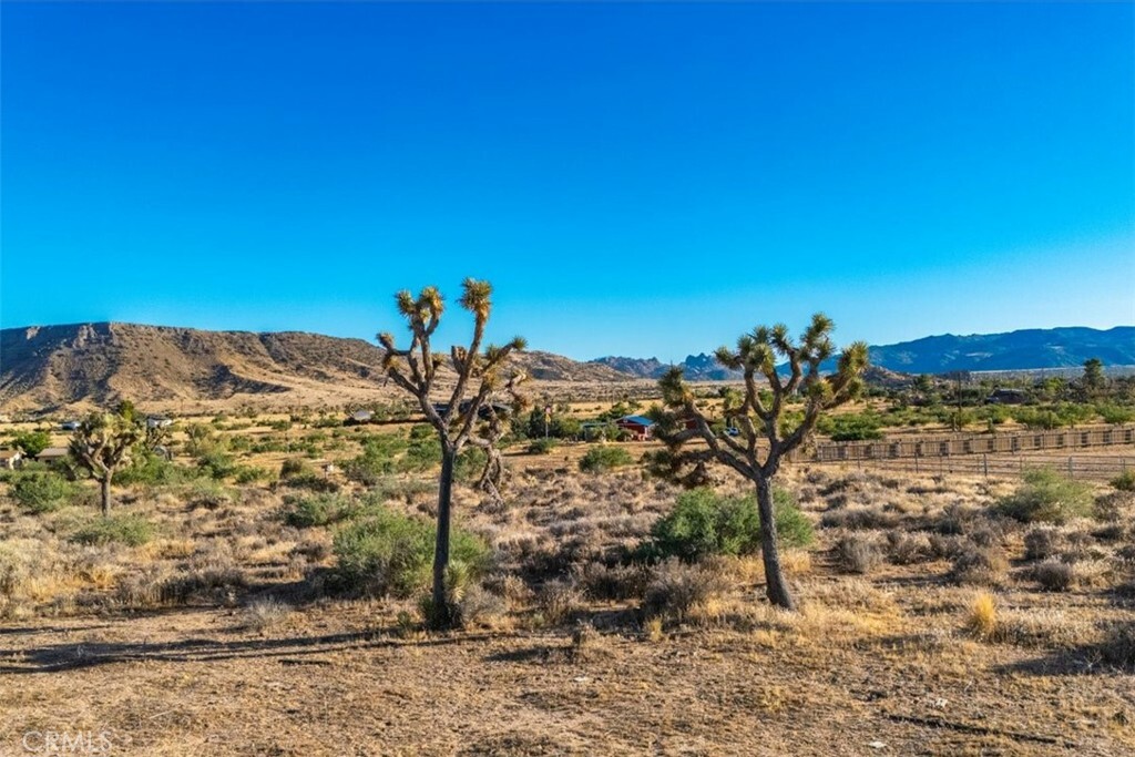 Property Photo:  1 Pipes Canyon Road  CA 92268 