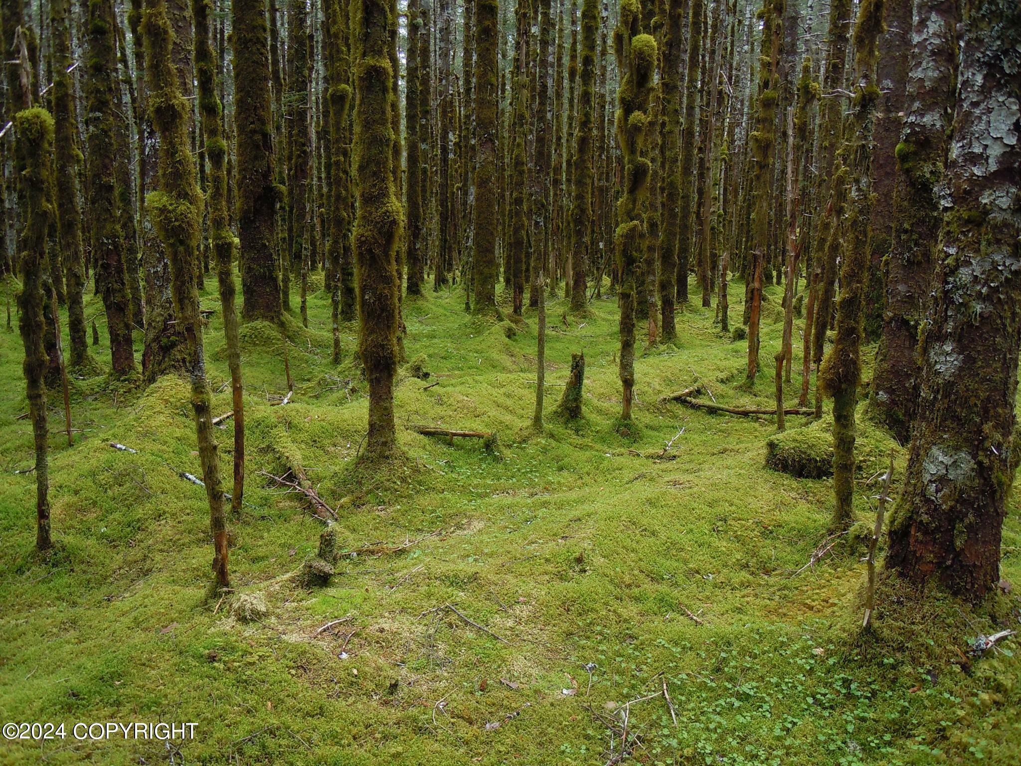 Property Photo:  000 Nuka Bay  AK 99663 