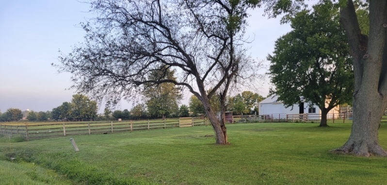 Property Photo:  420 E Grand Ridge Road  IL 60444 