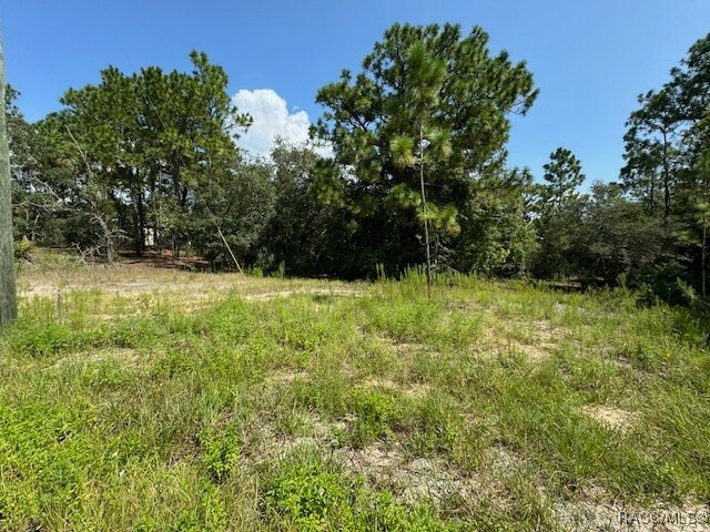 Property Photo:  11349 N Zeus Point  FL 34433 