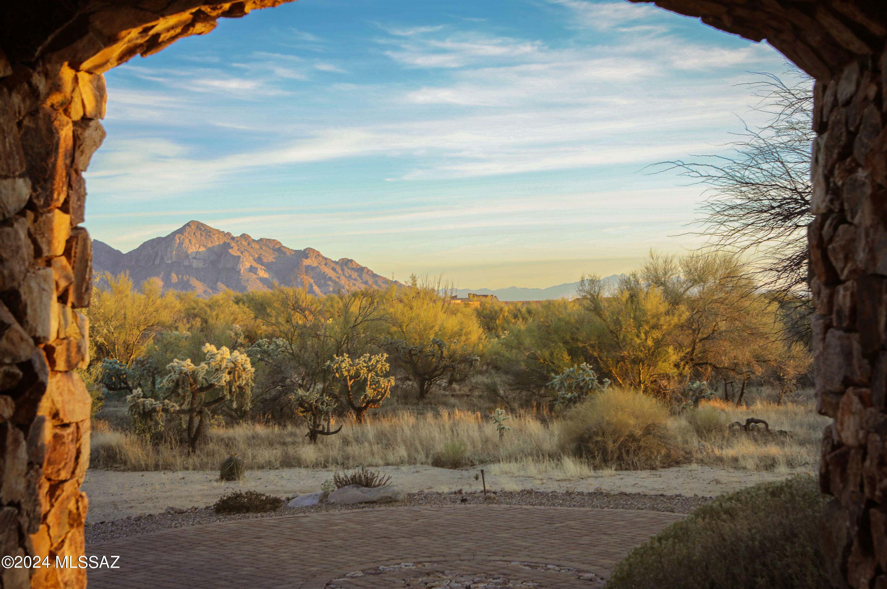 13951 N Old Forest Trail  Oro Valley AZ 85755 photo