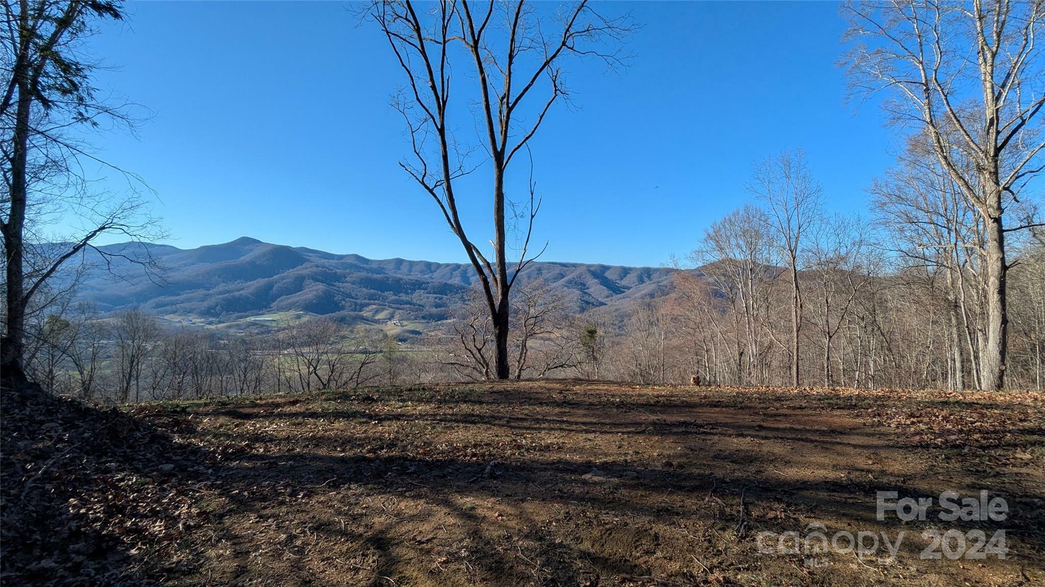 Property Photo:  394 Aubrey Trail  NC 28785 