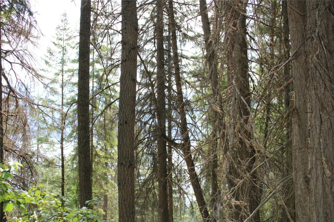 Property Photo:  Lot 31 Vickers Trail  BC V0E 1M8 