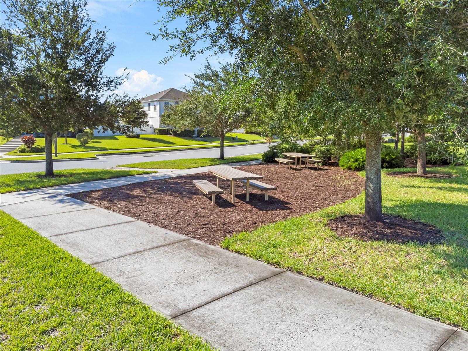 Property Photo:  6431 Makrut Lime Drive  FL 34787 