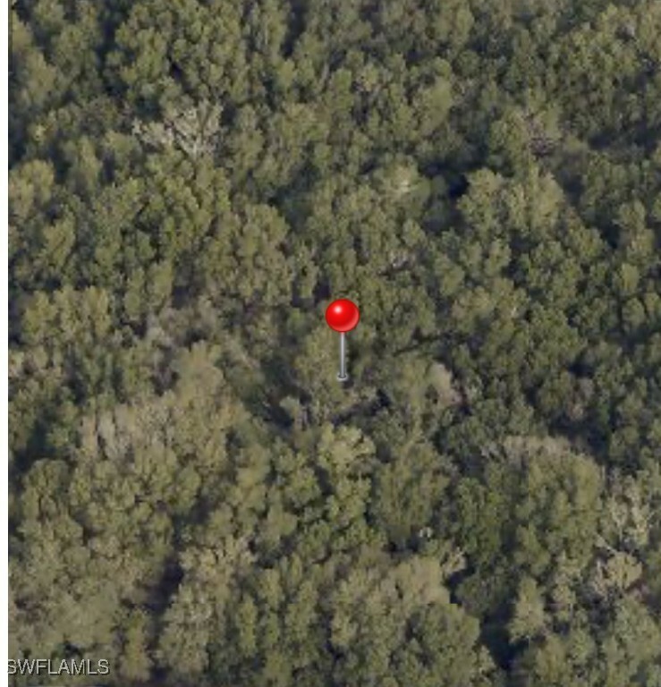 Property Photo:  Bessie Dix Road  FL 33584 