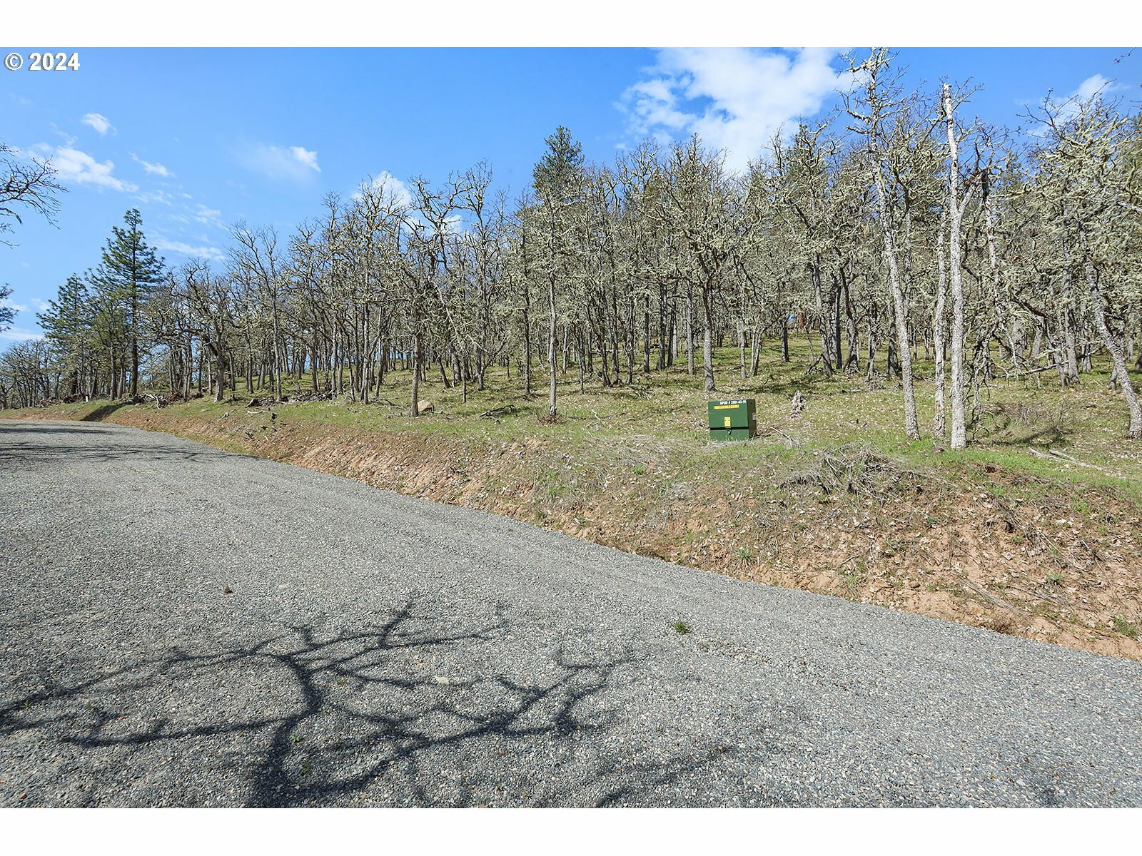 Property Photo:  Secluded Way 2  WA 98635 