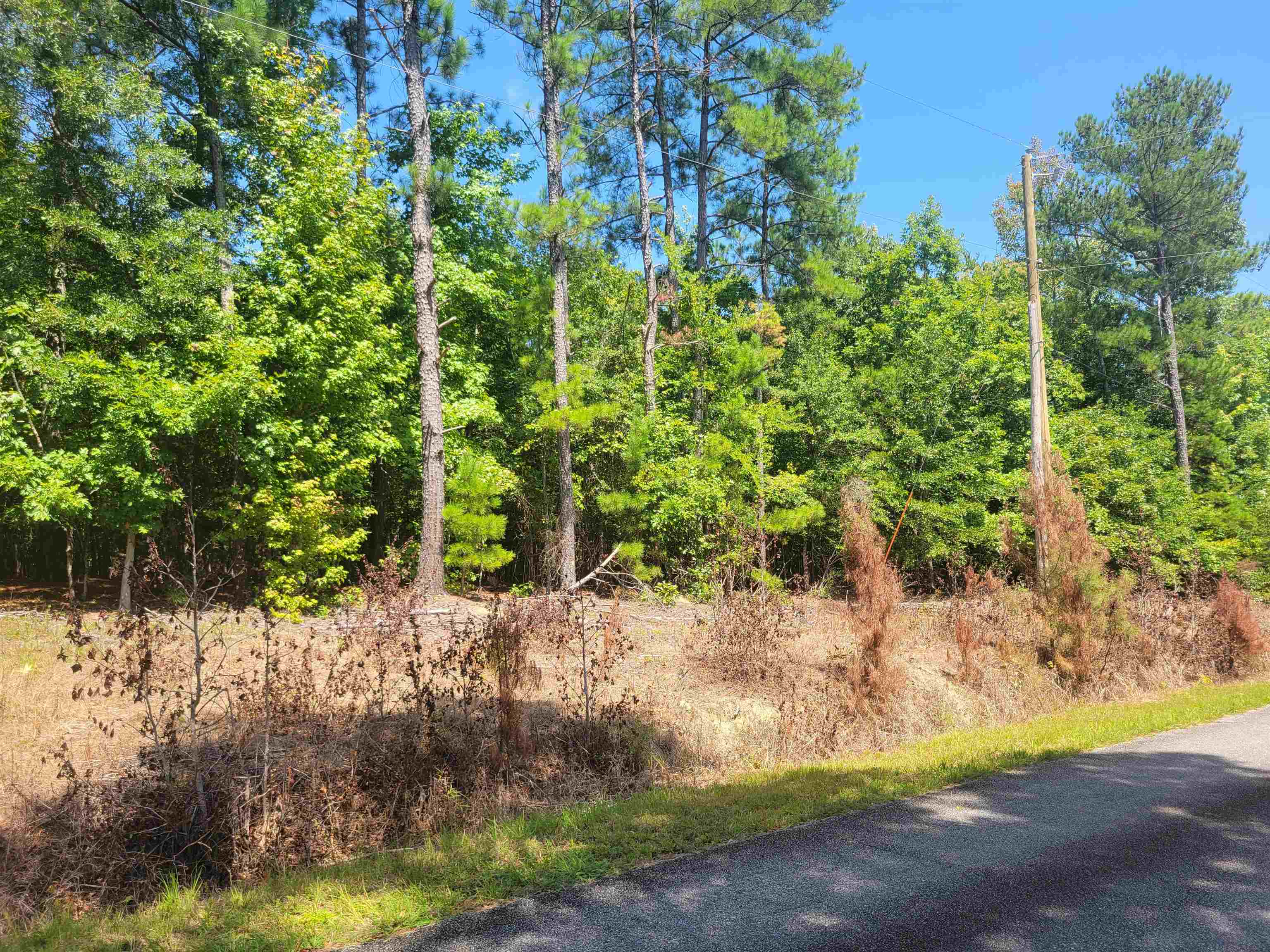 Property Photo: Plantation Trail SC 29372