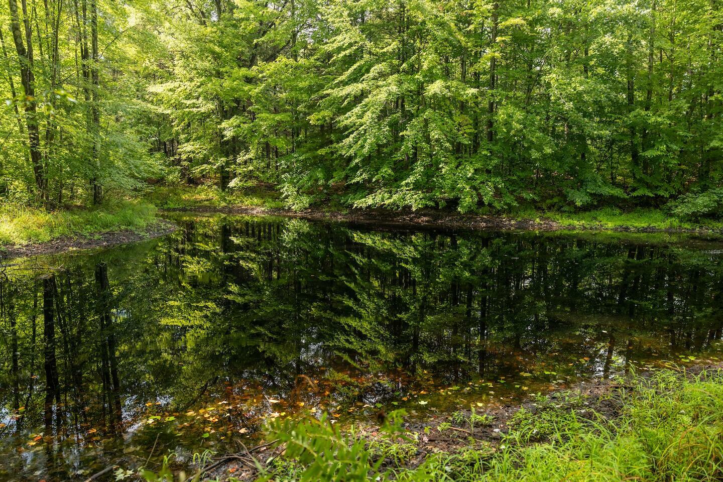 Property Photo:  00 V/L S Wolf Lake Rd.  MI 49415 