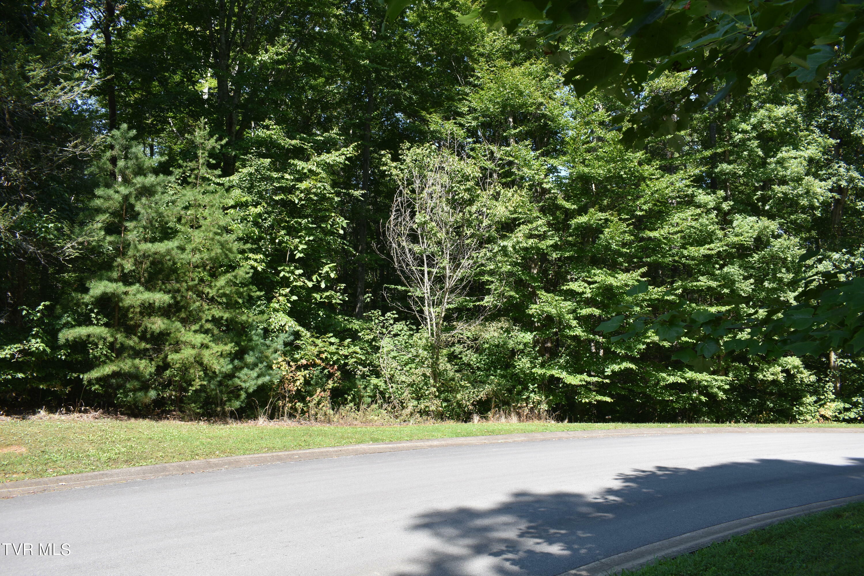 Lot 2 & 3 River Pointe Drive  Greeneville TN 37743 photo