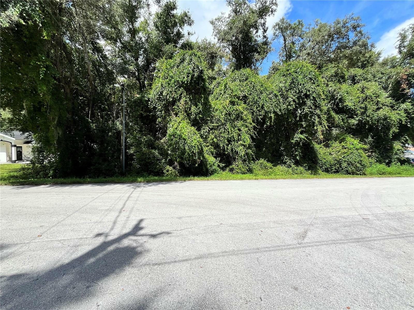 Property Photo:  00 SE 92 Terrace  FL 34491 