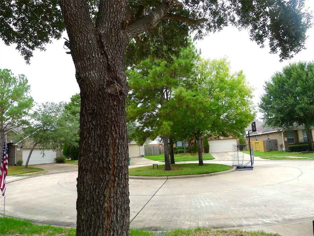 Property Photo:  5315 Heatherdawn Court  TX 77494 