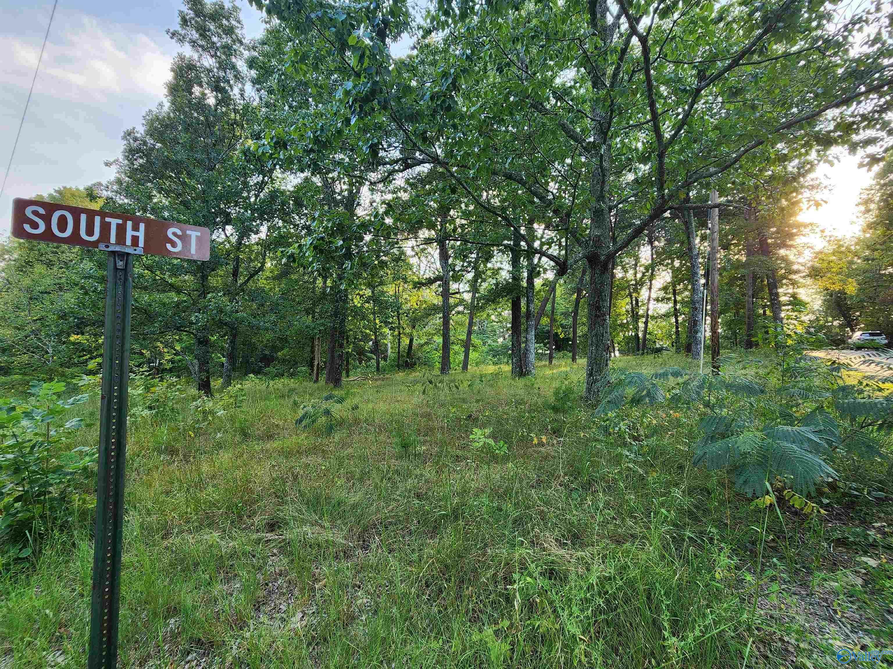 Lot #1,2,13,14, North Cool Street  Mentone AL 35984 photo