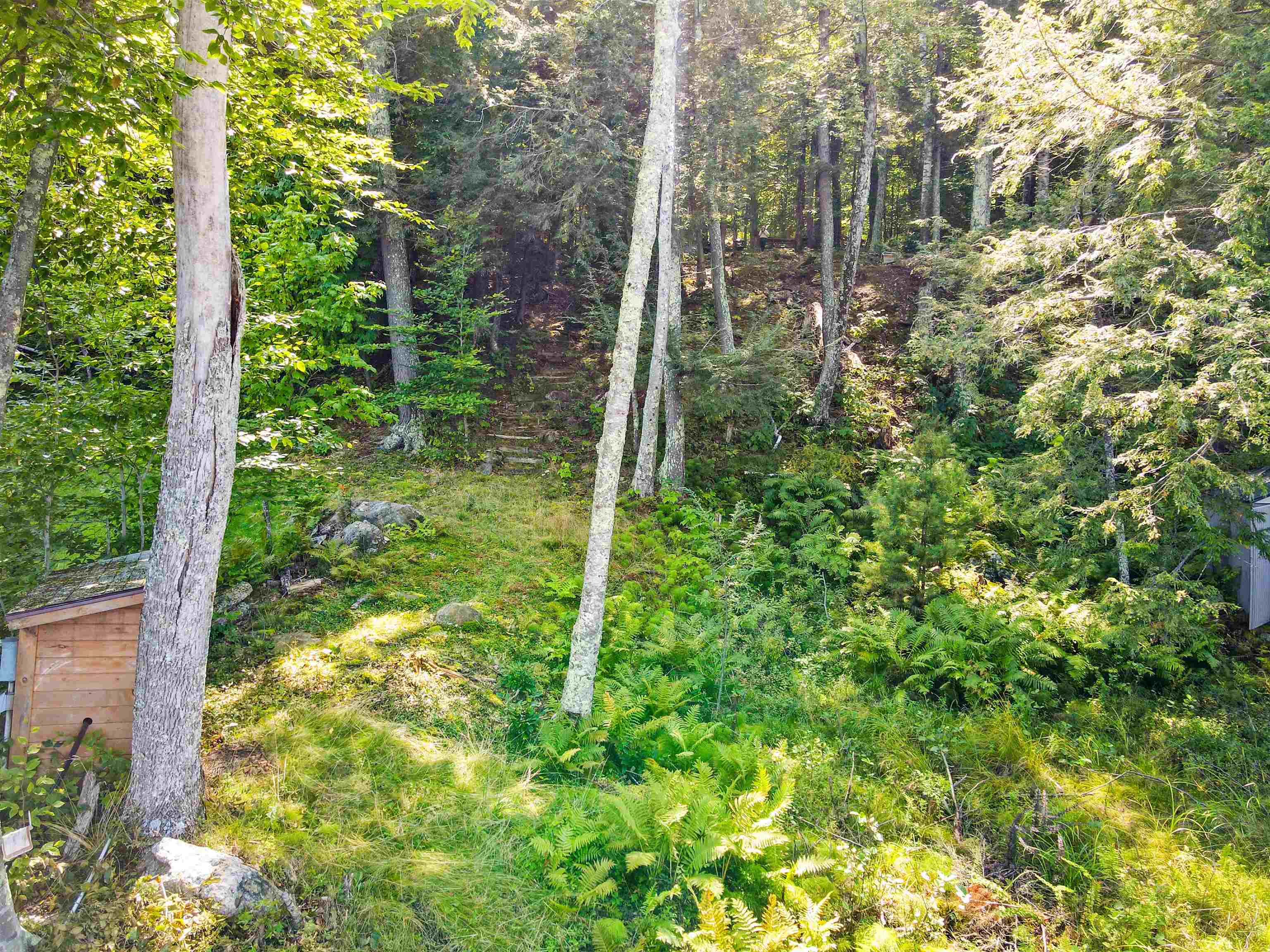 Property Photo:  890 Rattlesnake Island  NH 03810 