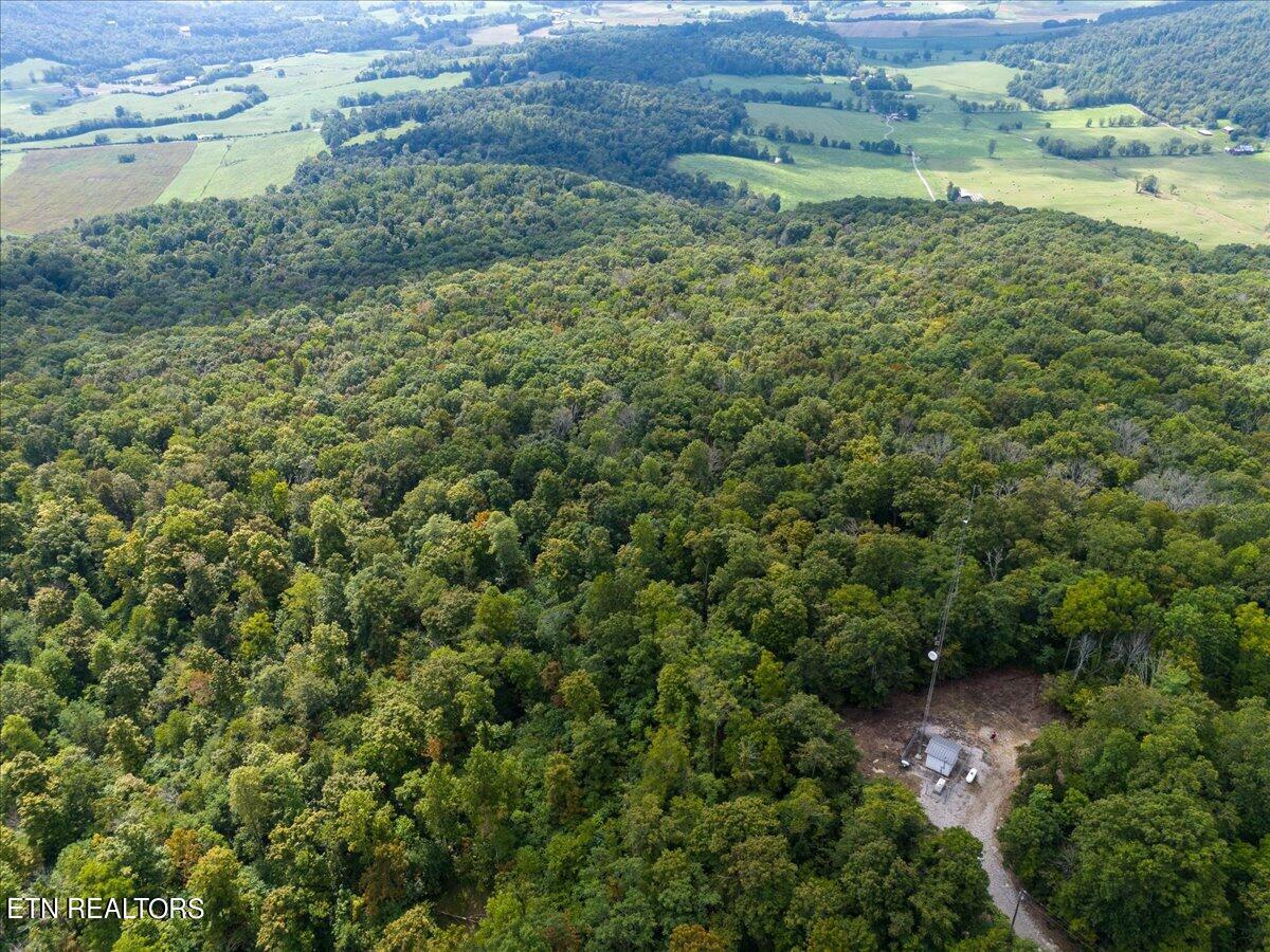 Property Photo:  Fire Tower Rd  TN 38583 