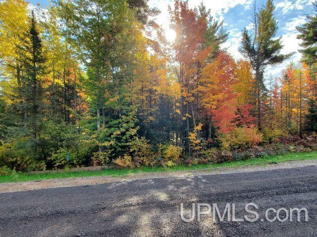 Lot #10 North Greenwood  Ishpeming MI 49849 photo