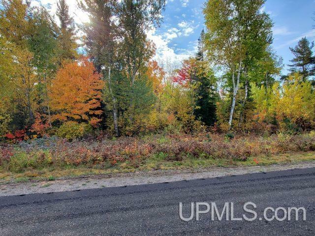 Lot #13 North Greenwood  Ishpeming MI 49849 photo