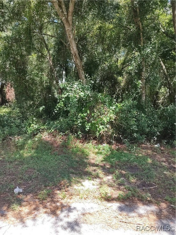 Property Photo:  814 Poplar Street  FL 34452 