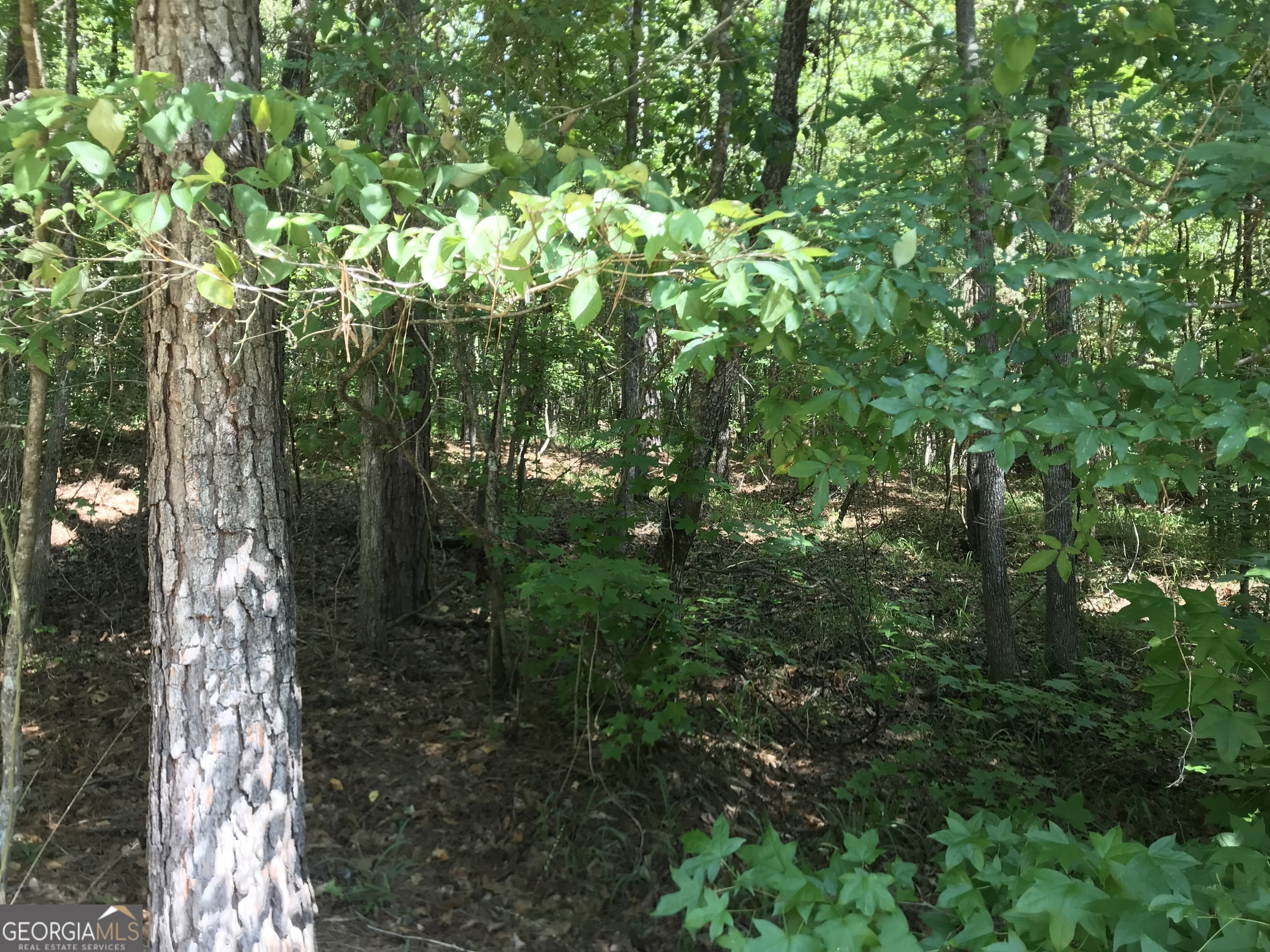 Property Photo:  0 Lot 204 Jamesway Drive  GA 31087 