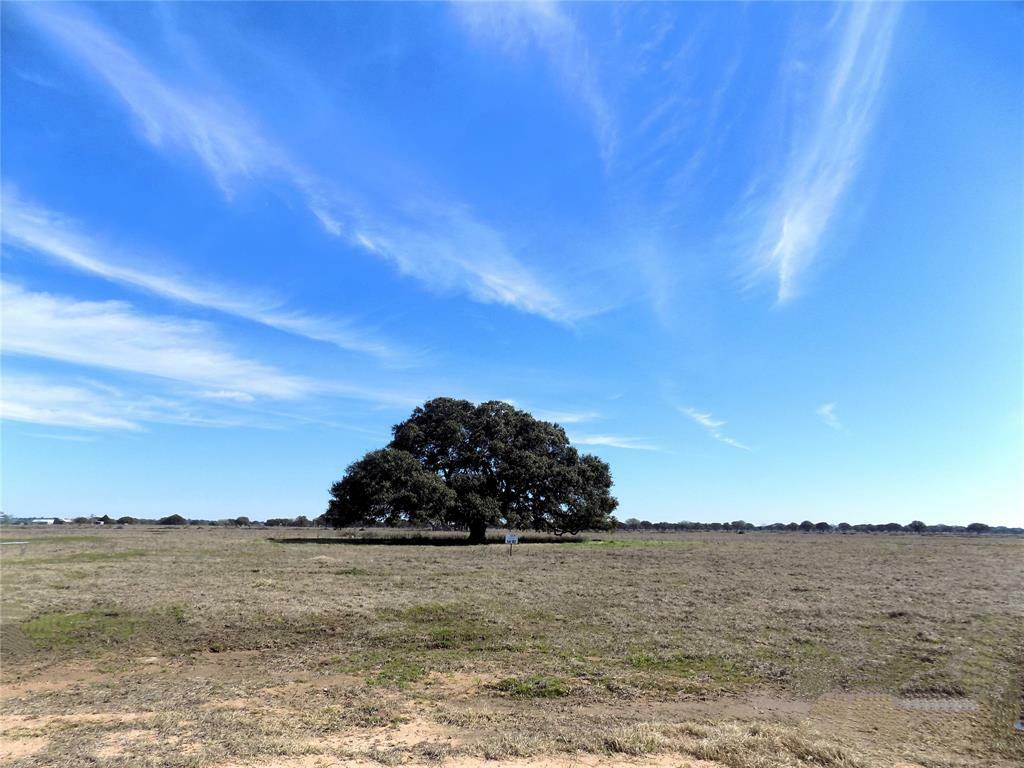 Property Photo:  0 Pintail Lane  TX 78934 