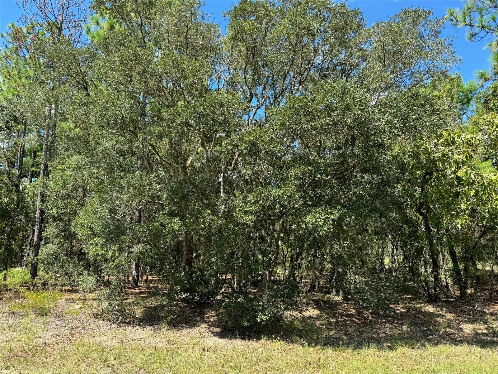 Property Photo:  6499 N Dorian Terrace  FL 34433 