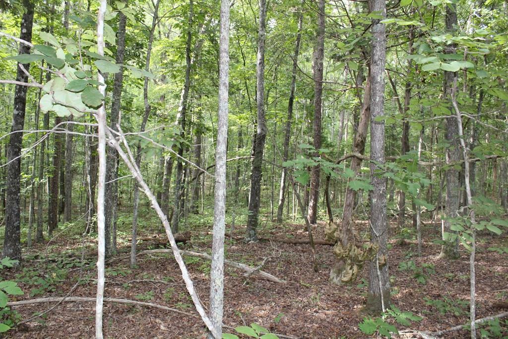 Property Photo:  Dryburg Rd  VA 24589 