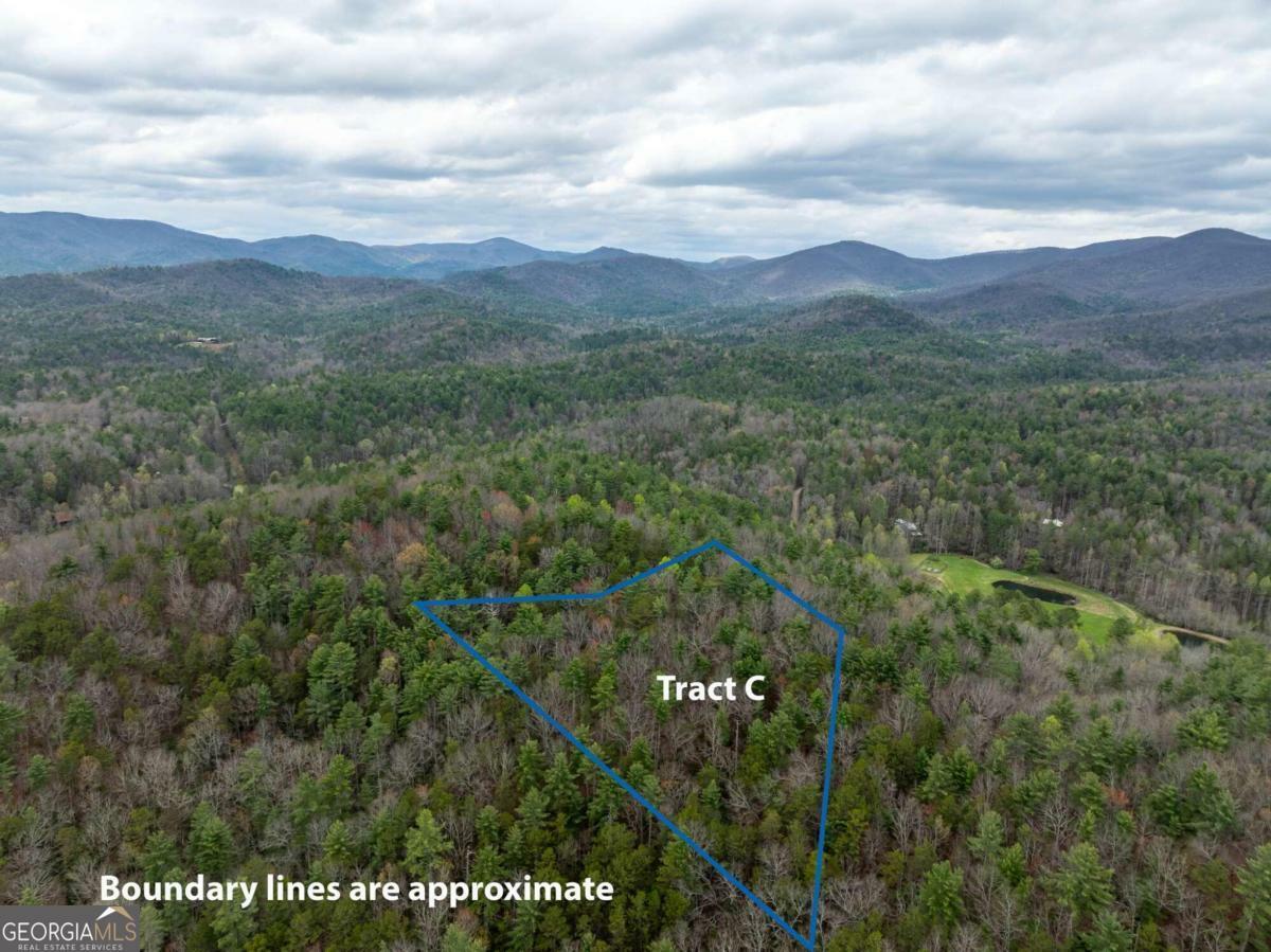 Property Photo:  Tract C Harpers Creek Road  GA 30540 