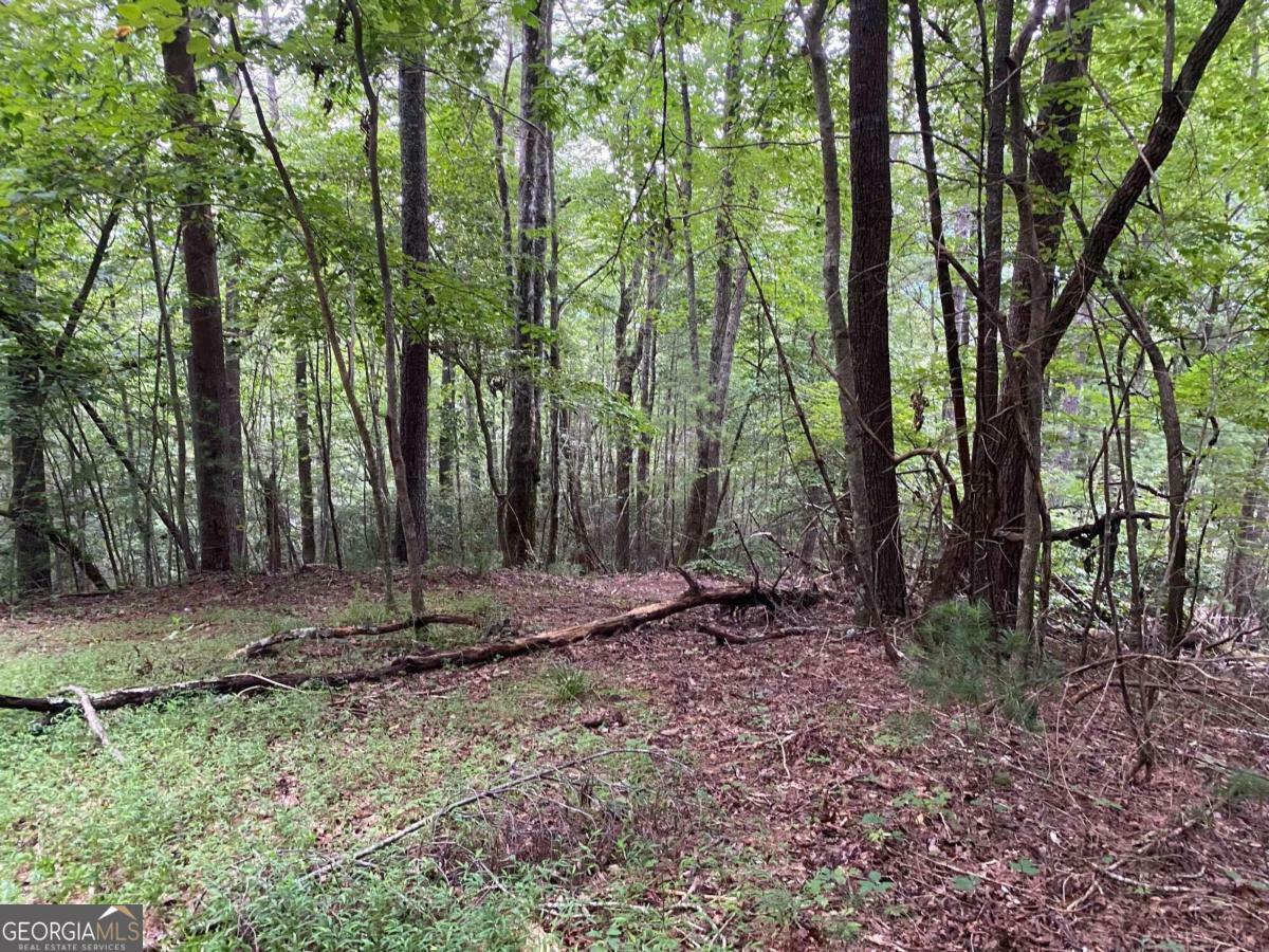 Property Photo:  Tract B Harpers Creek Road  GA 30540 