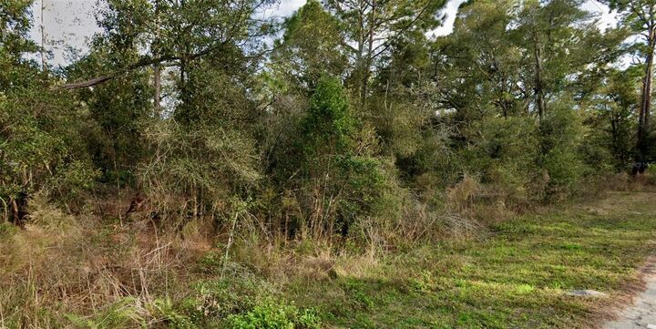 Property Photo:  0 Lot 6 Decker Street  FL 33597 