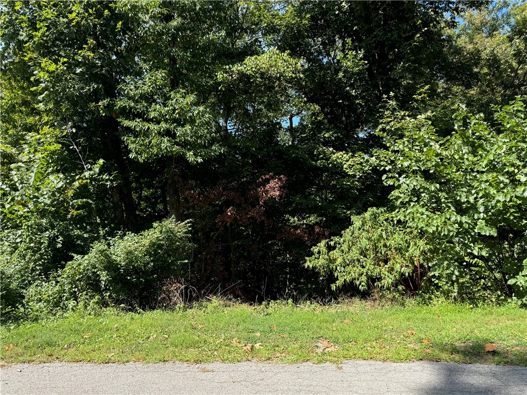 Property Photo:  Lot 19, Block 27 Finger Circle  AR 72715 