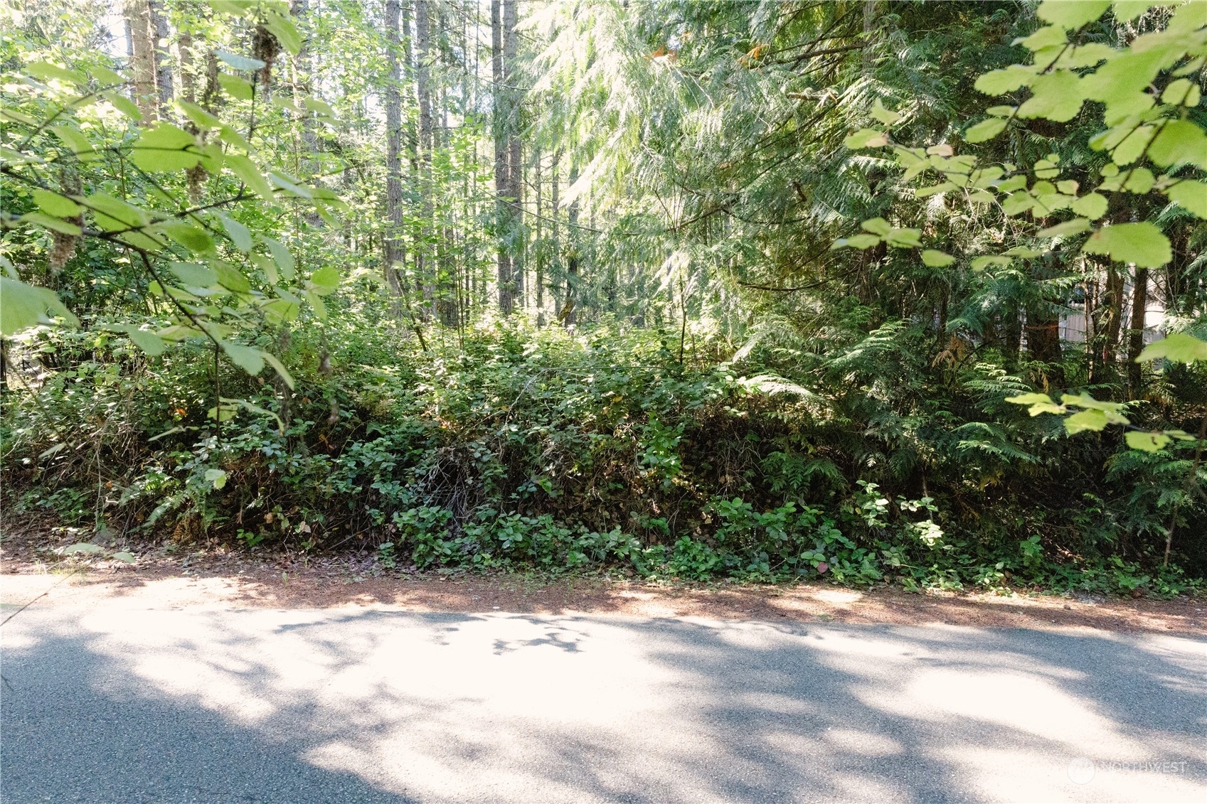 Property Photo:  22429 Blue Lake Court SE  WA 98597 