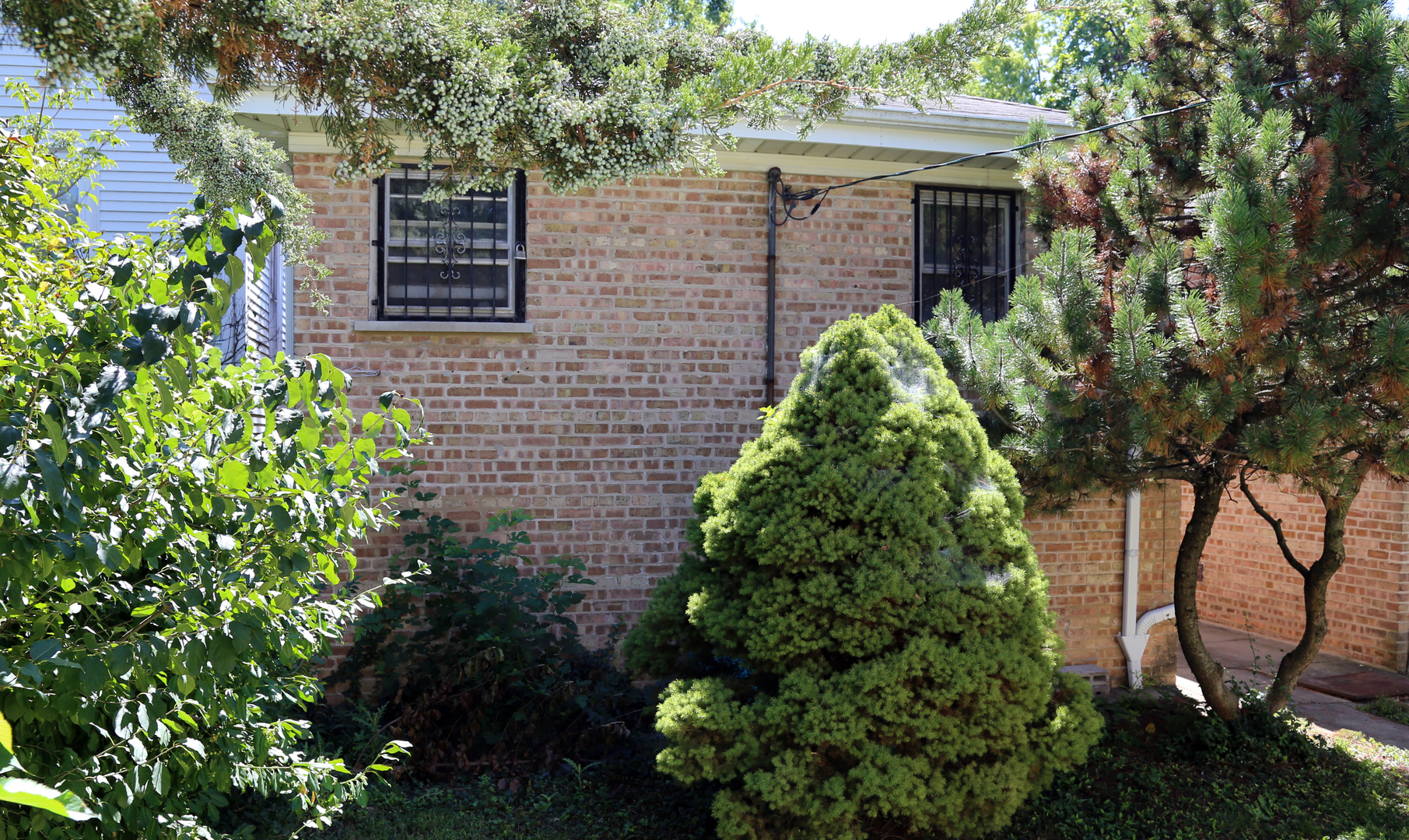 Property Photo:  4642 N Kennicott Avenue  IL 60630 