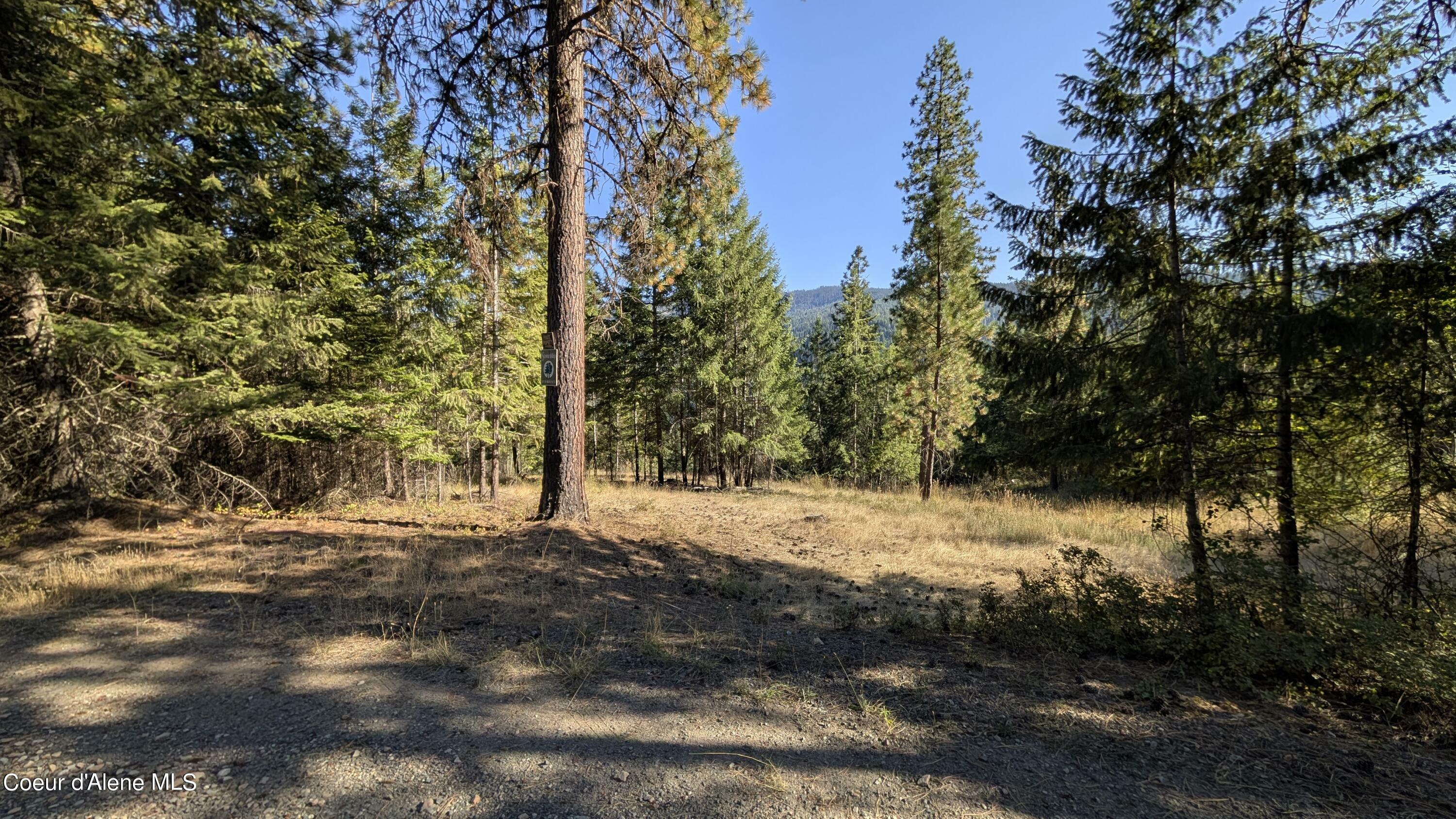 Nka E Raven Ridge Rd  Coeur D'Alene ID 83814 photo