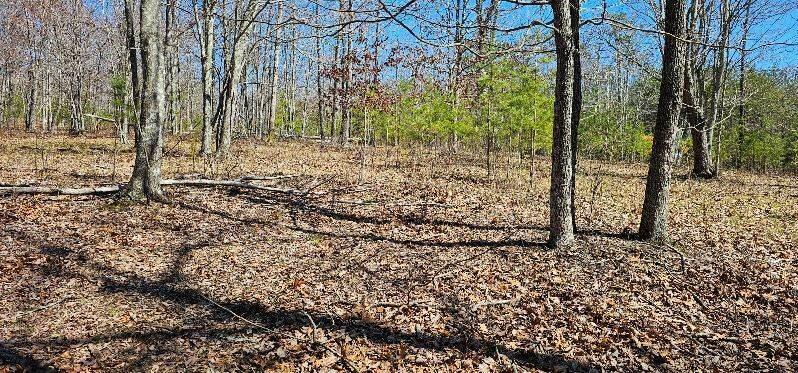 Property Photo: 103-B Bluffview Drive TN 37327
