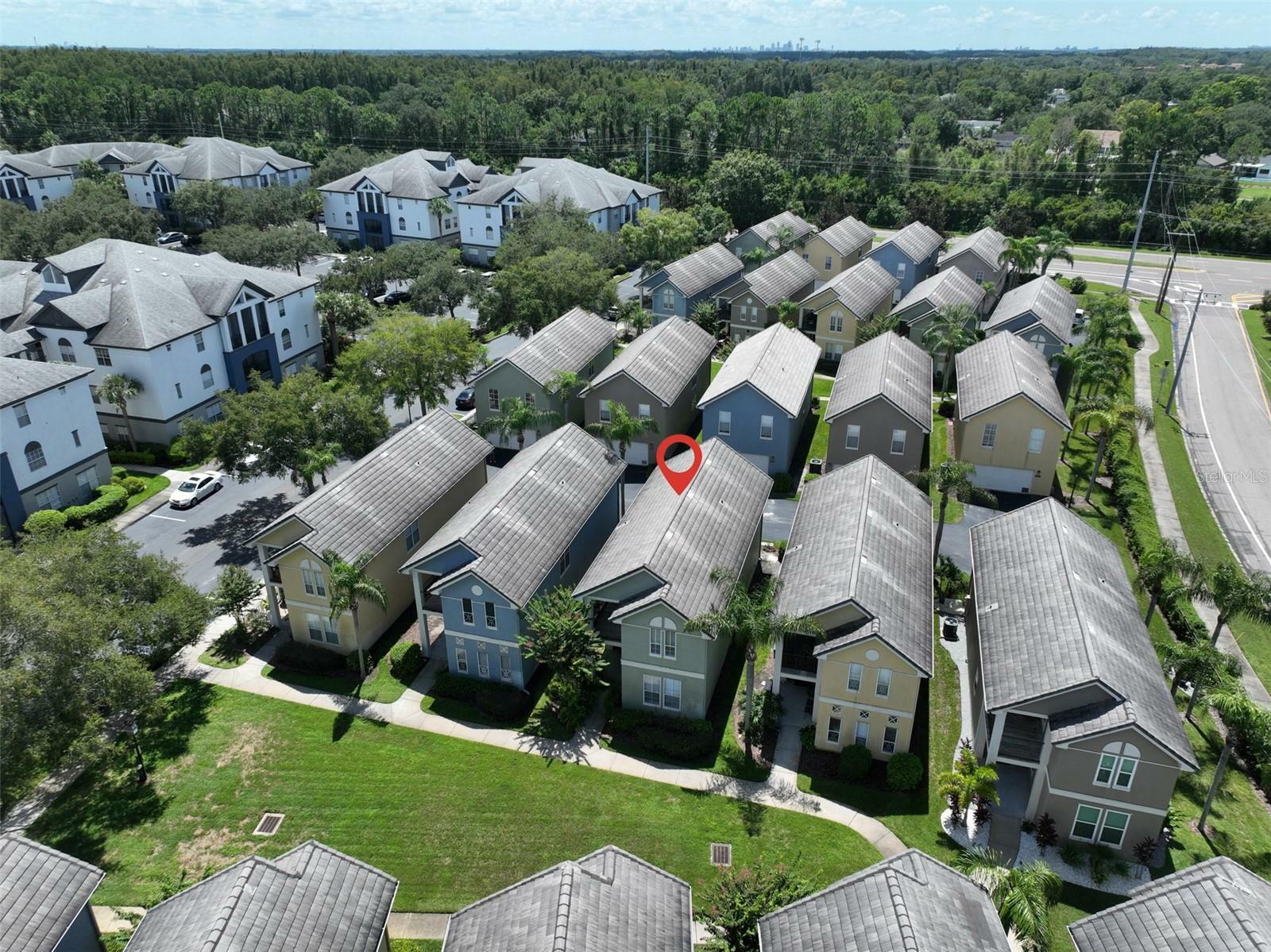 Property Photo: 4005 Roclinata Palm Court 4005 FL 33624