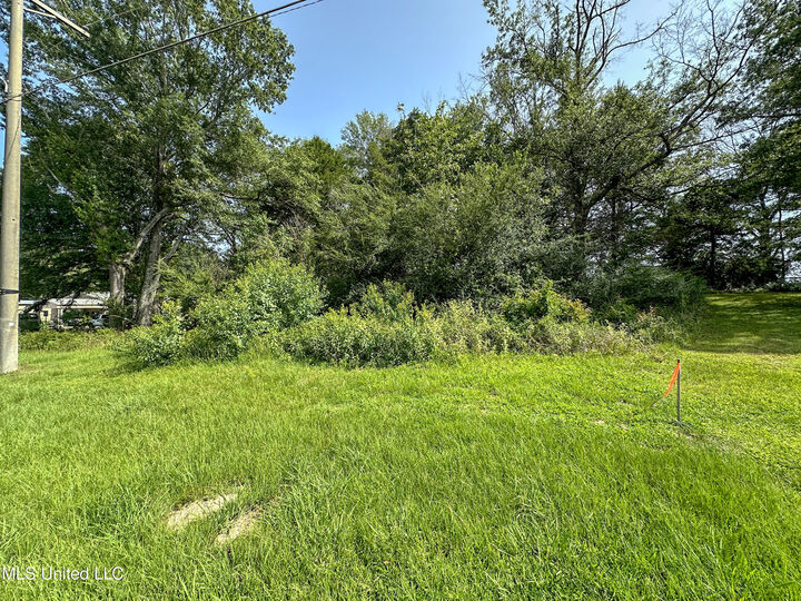 Property Photo: 109 Woodchase Park Drive MS 39056