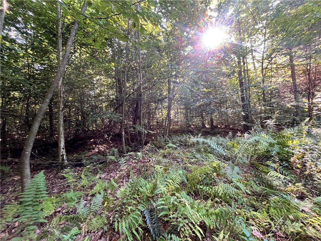 Property Photo:  Lot 1 Lockwood Run Road E  NY 14902 