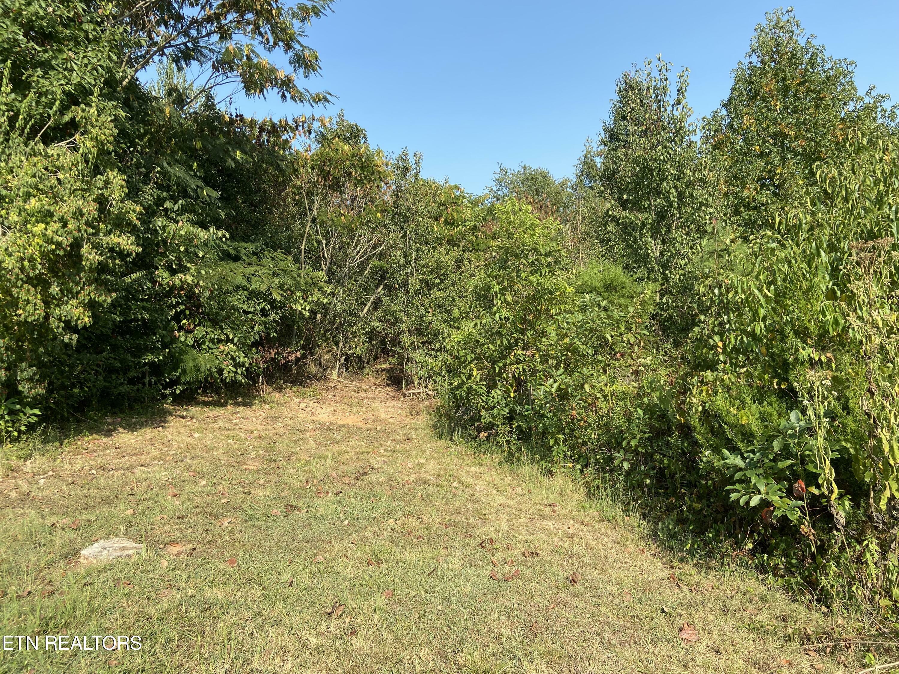 Property Photo:  00 Tuckaleechee Pike  TN 37804 