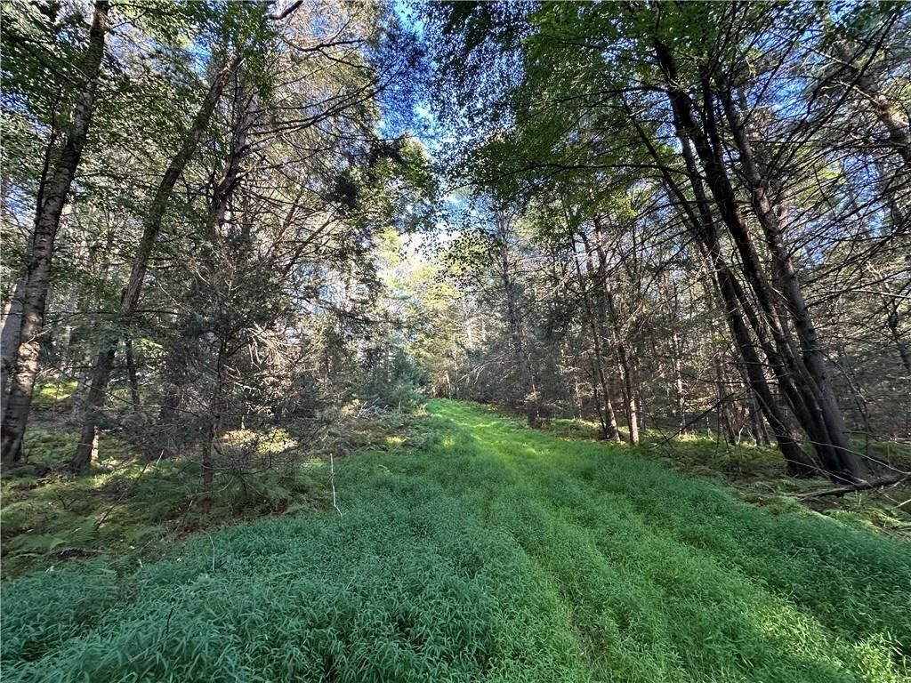 Property Photo:  Lot 15-8 Ward Brower Jr Drive  NY 12719 